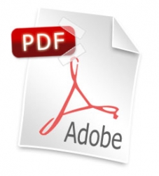 Nuevo Levante para DUA en formato PDF